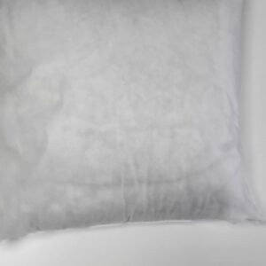 cushion insert